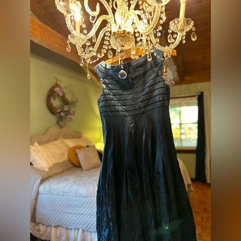 Twirling predicted for this gorgeous Dress.                    Adrianna Papell